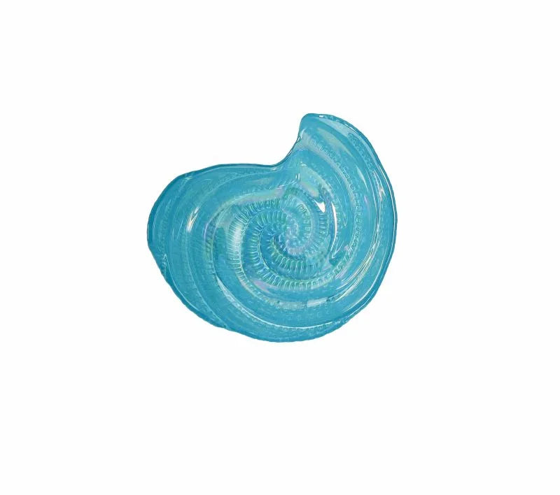 Cuenco en forma de concha marina de color turquesa, con 13 cm de diámetro.