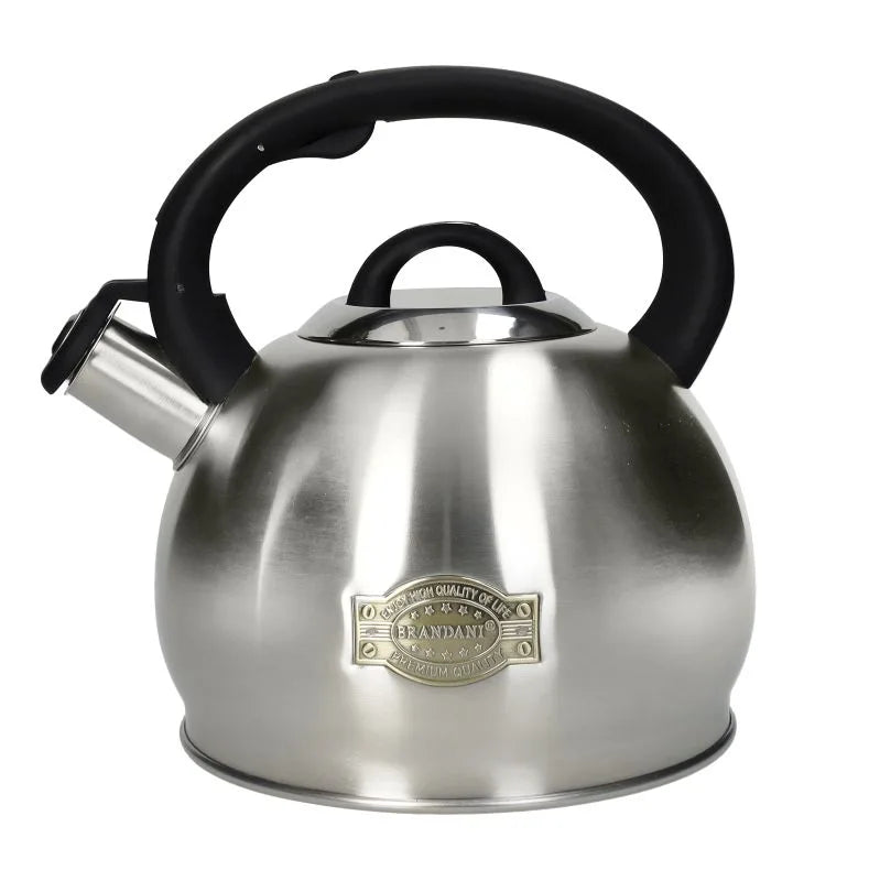 Hervidor de agua de acero inoxidable con mango negro, vista frontal.