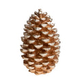Piña decorativa de cerámica, color neutro, con unas dimensiones de 25 x 39.5 cm.