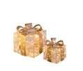 Packshot del set de 2 piezas decorativas con 450 luces LED, mostrando ambas piezas juntas.