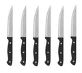 Set de 6 cuchillos para carne con hojas de acero inoxidable y mangos pulidos.